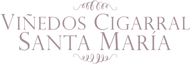 Logo Viñedos Cigarral Santa María